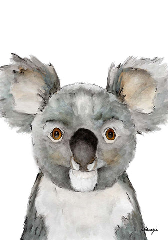 Australian Koala A4 Unframed