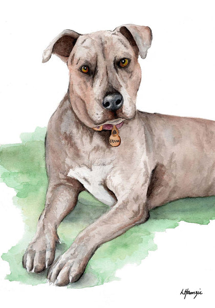 Pet Portrait - A4 Unframed - Bull Arab Wolfhound - Crank