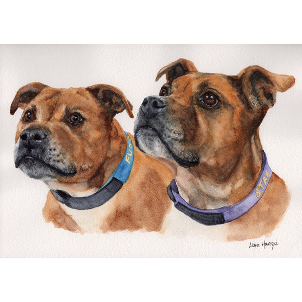 Custom Pet Portraits