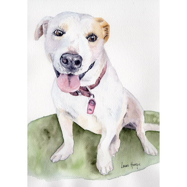 Custom Pet Portraits