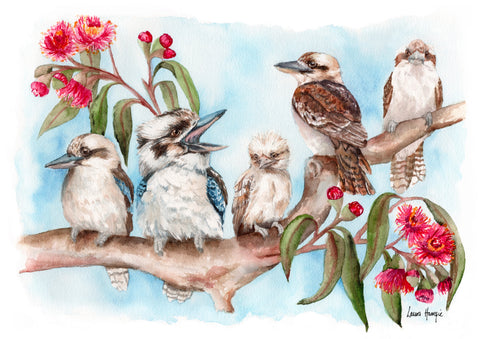 Kookaburra Family