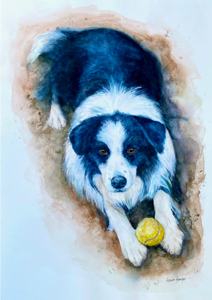 Custom Pet Portraits