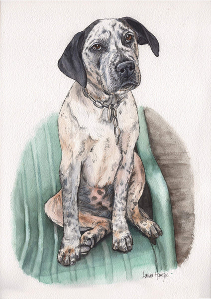 Custom Pet Portraits