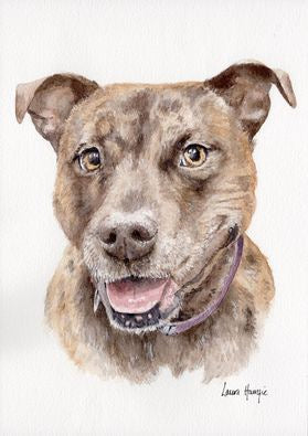 Custom Pet Portraits