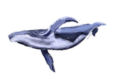 Whale