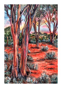 Landscape - Salmon Gum, Kalgoorlie WA