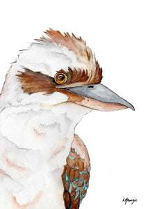 Australian Kookaburra A4 Unframed