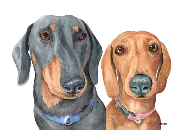 Custom Pet Portraits