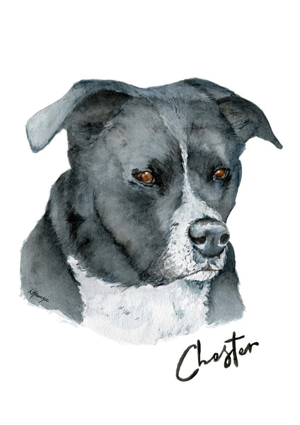 Custom Pet Portraits