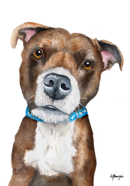 Custom Pet Portraits