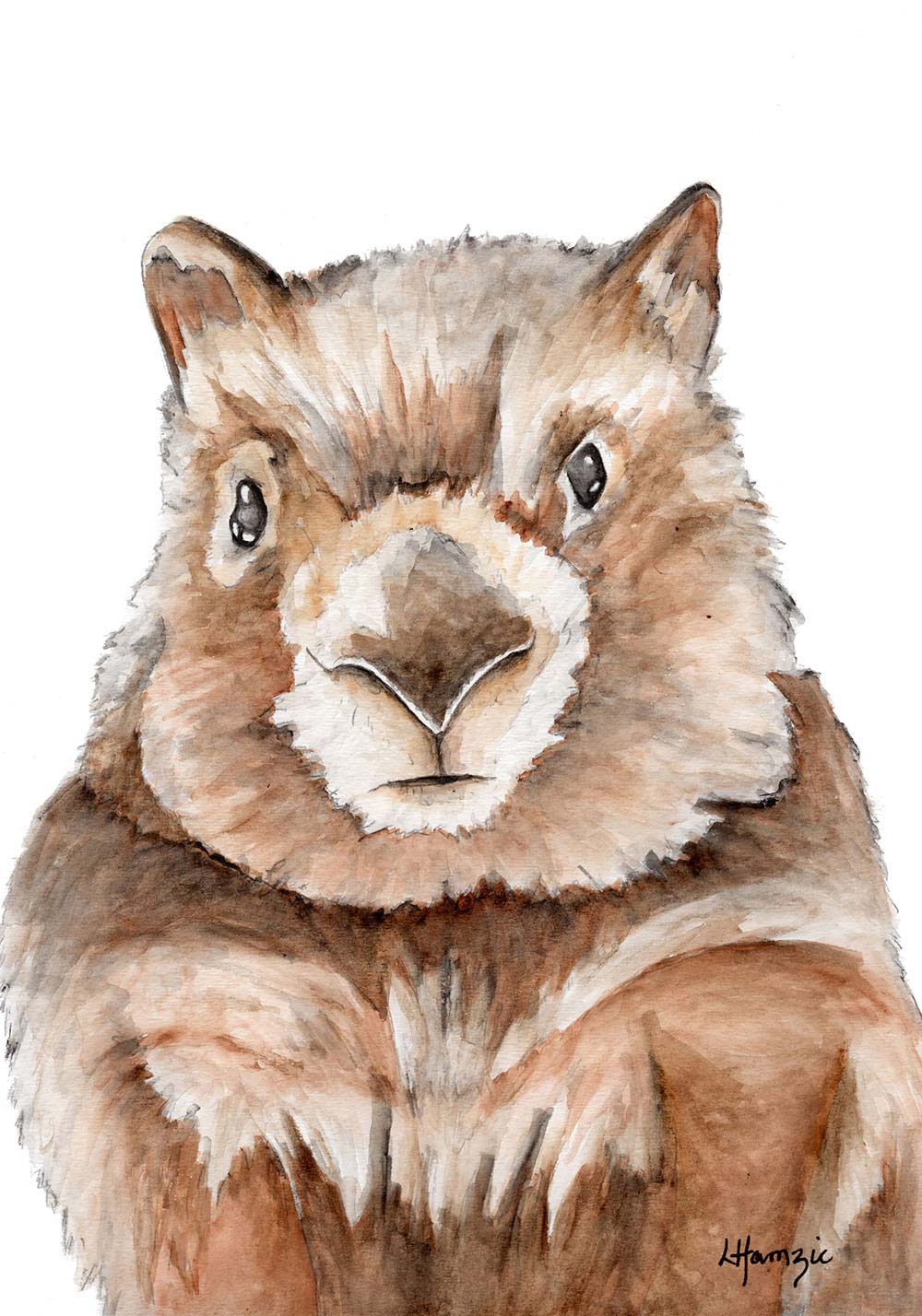 Australian Wombat A4 Unframed