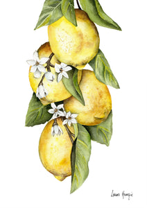 Lemons