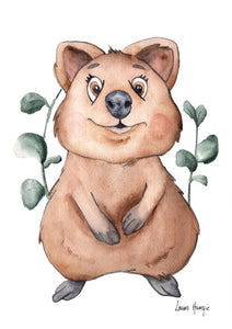 Quokka Joey