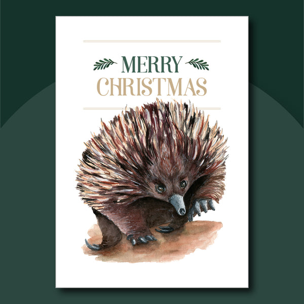 Christmas Cards (Set of 6)